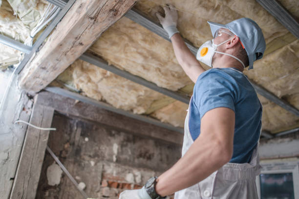 Best Fiberglass Insulation in Fox River Grove, IL