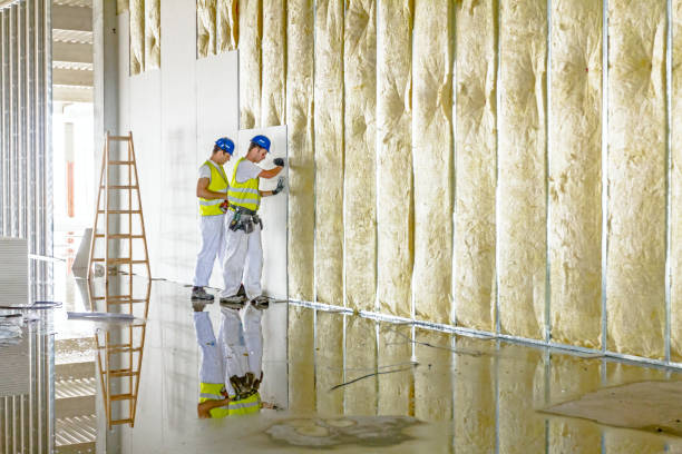 Best Commercial Insulation in Fox River Grove, IL